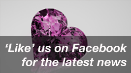 visit the shaderlight for sketchup facebook page